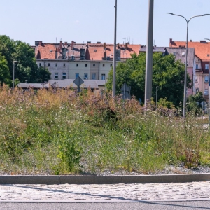 ronda-zachwaszczone-legnica-fot-ewajak002.jpg