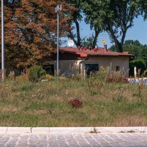 ronda-zachwaszczone-legnica-fot-ewajak013.jpg