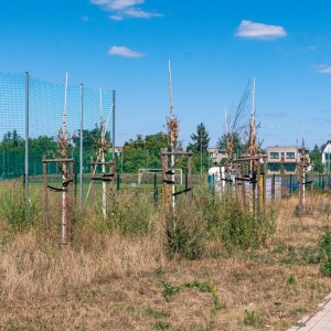 ronda-zachwaszczone-legnica-fot-ewajak022.jpg