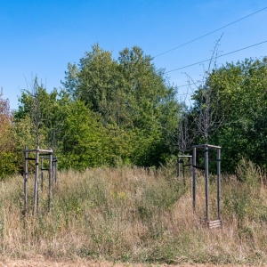 ronda-zachwaszczone-legnica-fot-ewajak044.jpg