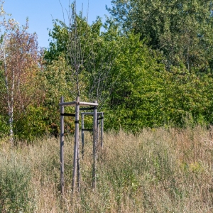 ronda-zachwaszczone-legnica-fot-ewajak045.jpg