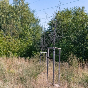 ronda-zachwaszczone-legnica-fot-ewajak047.jpg