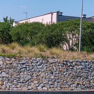 ronda-zachwaszczone-legnica-fot-ewajak054.jpg