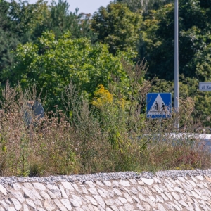 ronda-zachwaszczone-legnica-fot-ewajak064.jpg