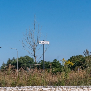ronda-zachwaszczone-legnica-fot-ewajak065.jpg