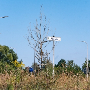 ronda-zachwaszczone-legnica-fot-ewajak067.jpg