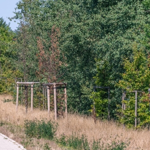 ronda-zachwaszczone-legnica-fot-ewajak079.jpg