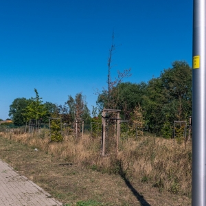 ronda-zachwaszczone-legnica-fot-ewajak085.jpg