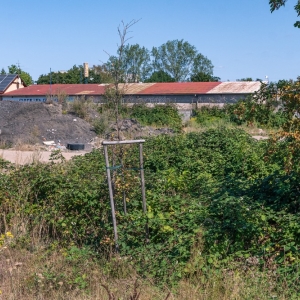 ronda-zachwaszczone-legnica-fot-ewajak090.jpg
