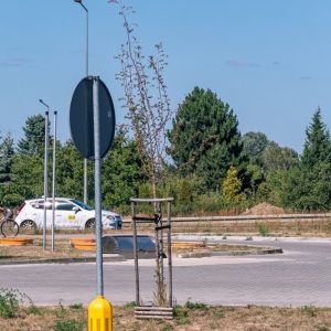 ronda-zachwaszczone-legnica-fot-ewajak098.jpg