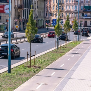 ronda-zachwaszczone-legnica-fot-ewajak105.jpg