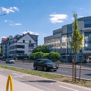 ronda-zachwaszczone-legnica-fot-ewajak108.jpg