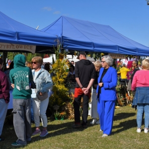 dozynki-mecinka-fot-ewajak249.jpg