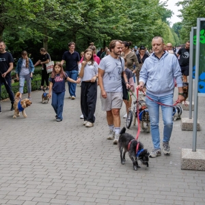 parada-psow-fot-ewajak064.jpg