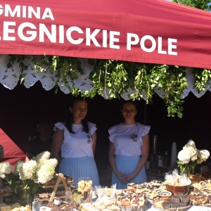dozynki-legpol-fot-ewajak161.jpg