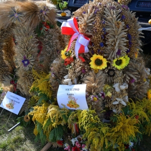 dozynki-krotoszyce-fot-zjak021.jpg