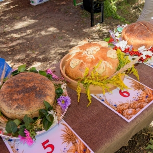 dozynki-pielgrzymka-fot-zjak097.jpg