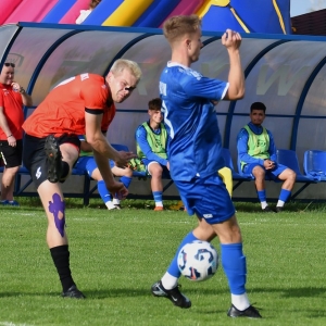 zryw-komorniki-fot-ewajak111.jpg