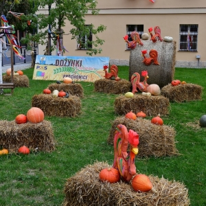 dozynki-prochowice-fot-zjak041.jpg