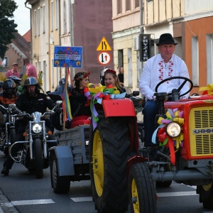 dozynki-prochowice-fot-zjak048.jpg