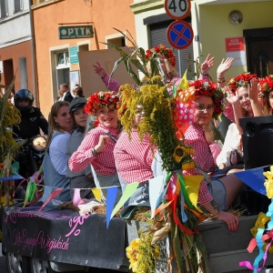 dozynki-prochowice-fot-zjak051.jpg