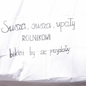 dozynki-prochowice-fot-zjak109.jpg