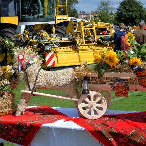 dozynki-prochowice-fot-zjak137.jpg