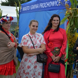 dozynki-prochowice-fot-zjak181.jpg