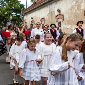 dozynki-wadroze-fot-ewajak077.jpg