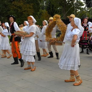 dozynki-wadroze-fot-ewajak156.jpg