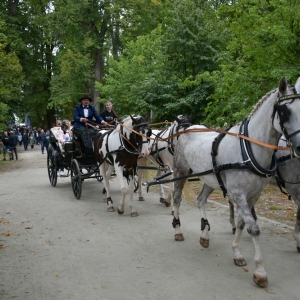 dozynki-polkowice-fot-zjak160.jpg